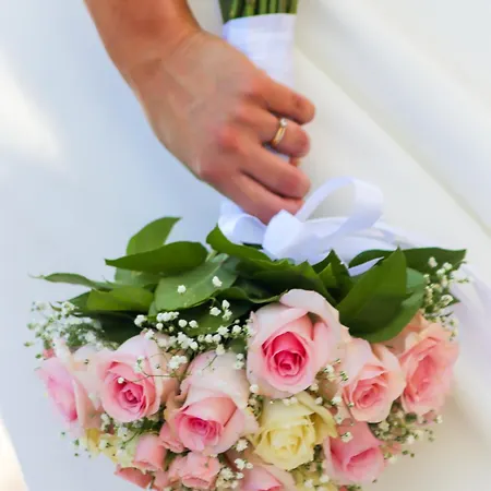 Eona By Greek Pride 5*